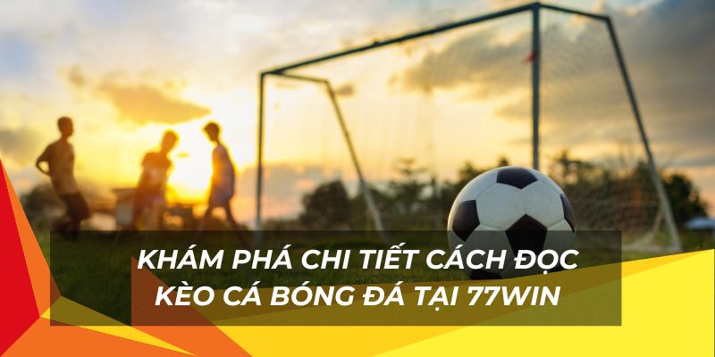 Tổng quan hiểu cách đọc kèo cá độ bóng đá