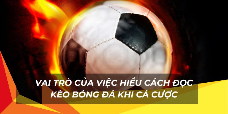 Vai trò của việc cách đọc kèo bóng đá