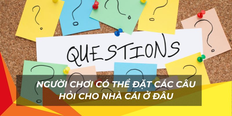 Cách người chơi đặt đặt các câu hỏi tại nhà cái