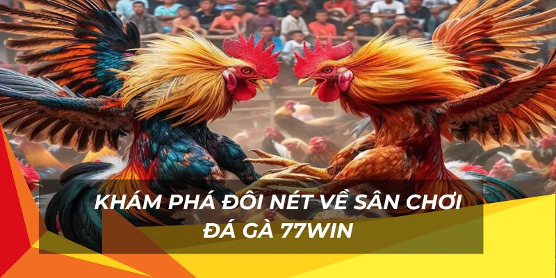 Sân chơi đá gà đẳng cấp cho người chơi