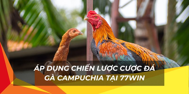 Áp dụng chiến lược cược đa dạng