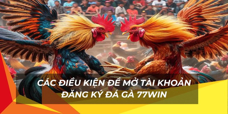 Điều kiện để mở tài khoản cược đá gà