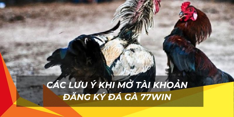 Lưu ý khi mở tài khoản đăng ký đá gà