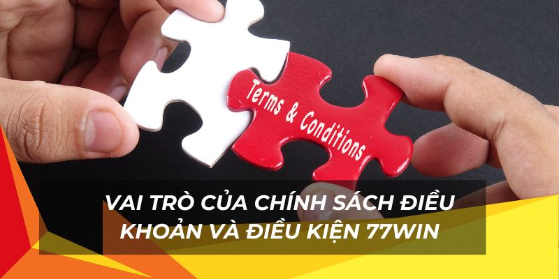 Vai trò của điều khoản điều kiện tại nhà cái