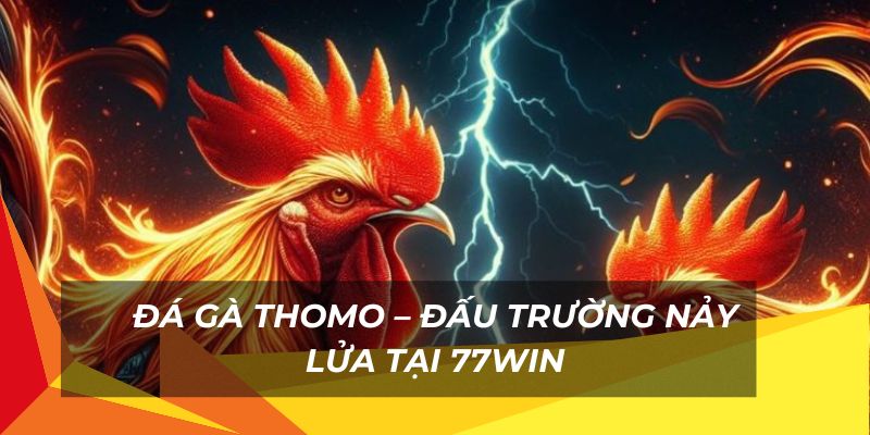 Nhiều trận đấu nảy lửa tại đá gà thomo