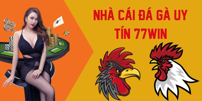 Nhà cái đá gà uy tín 77Win